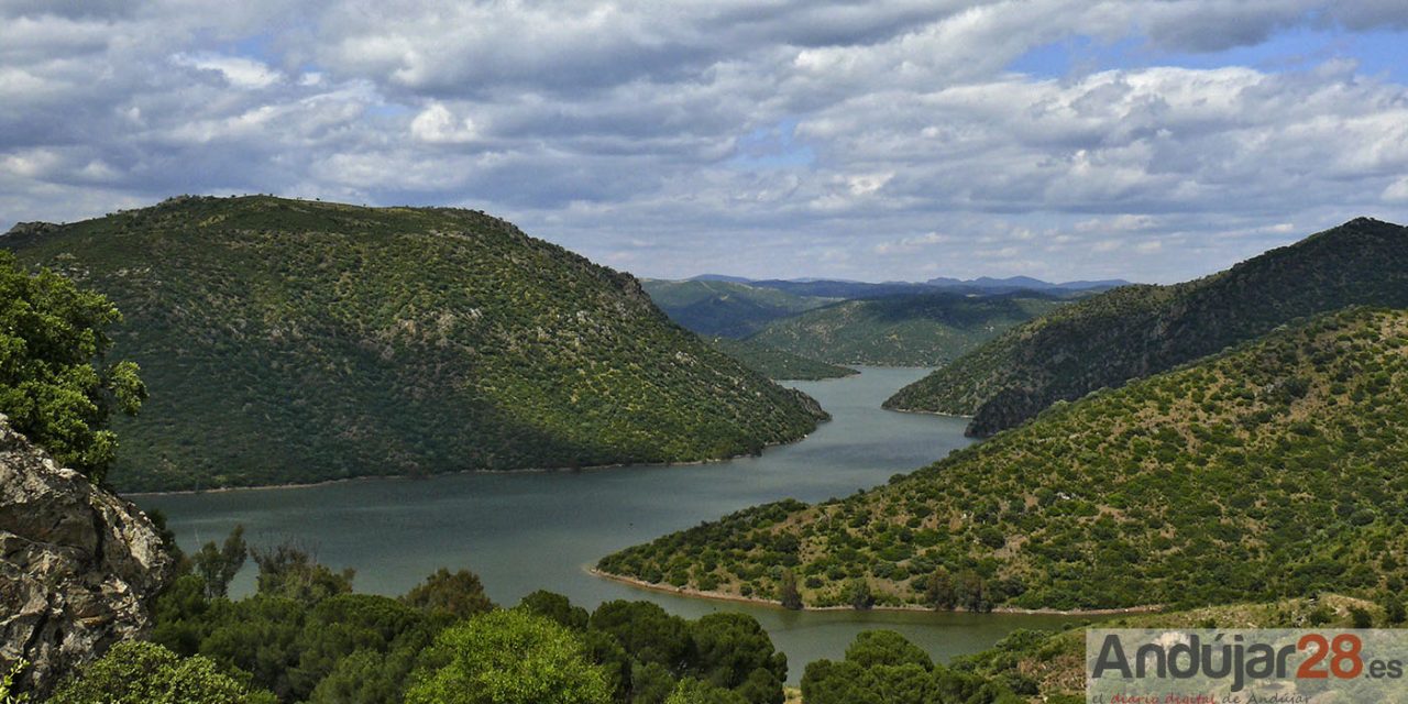 Andújar se integra como miembro del comité andaluz del Pacto Verde Europeo