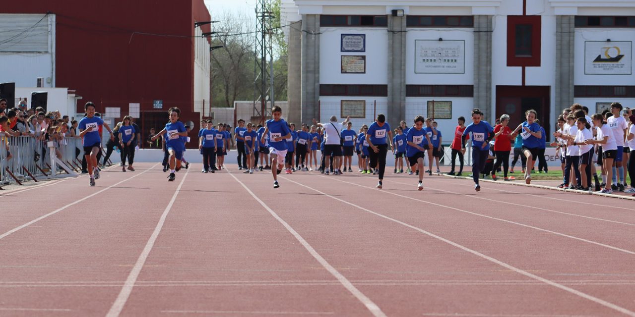 Más de 500 niños y niñas participan en las VII Olimpiadas Escolares de Andújar organizadas por el CEIP Francisco Estepa